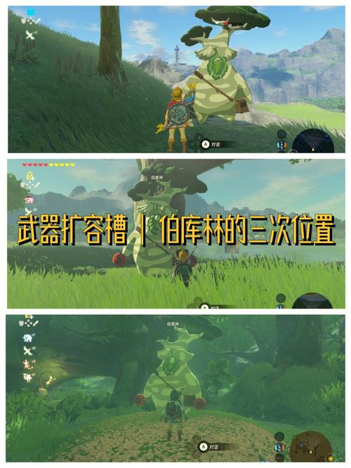 王国之泪伯库林位置塞尔达传说王国之泪伯库林位置一览-塞尔达传说伯库林去哪里找-第6张图片 王国之泪伯库林位置塞尔达传说王国之泪伯库林位置一览-塞尔达传说伯库林去哪里找-第6张图片